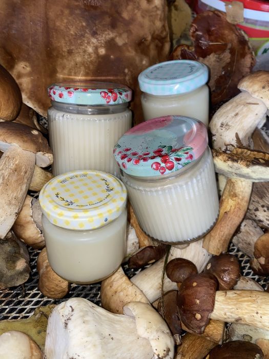 Smalec/sadło z borsuka