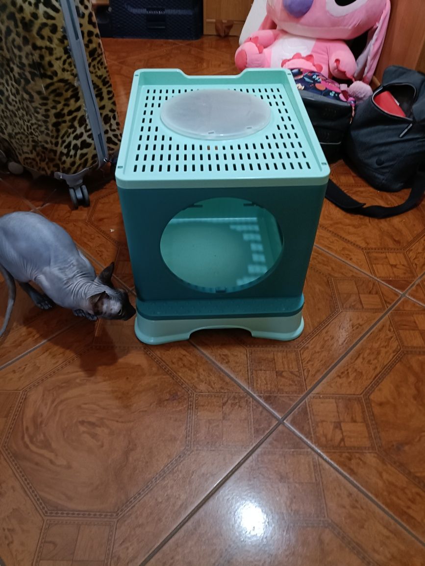 Kuweta otwarta dla kota
