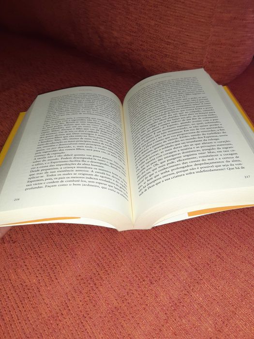 O Evangelho segundo o espiritismo - Allan Kardec