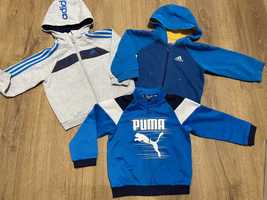 Adidas, Puma bluzy dla chłopca rozm 80