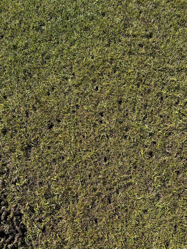Aerator rurkowy weibang piaskowanie trawnika