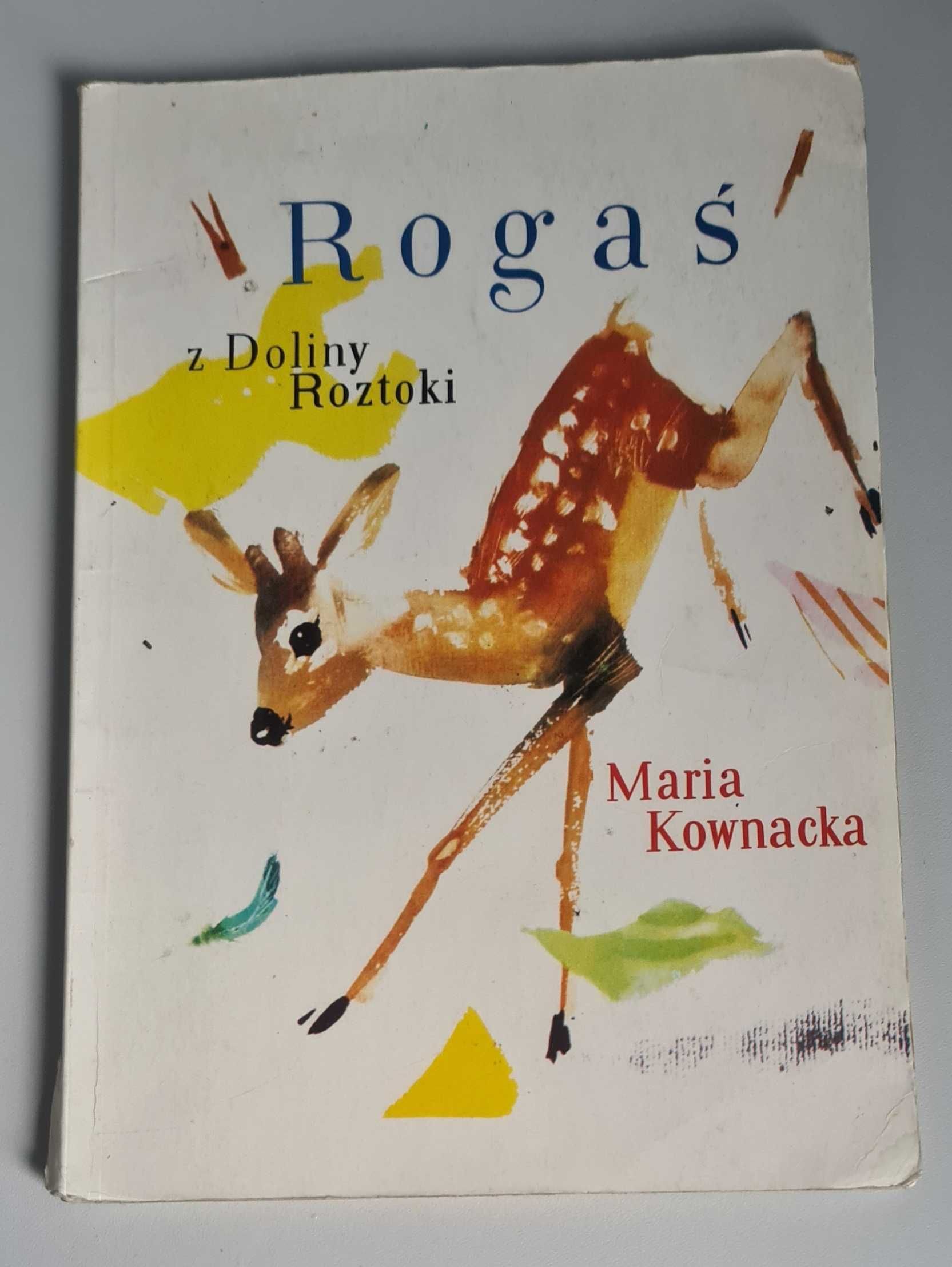 Rogaś z Doliny Roztoki Maria Kownacka