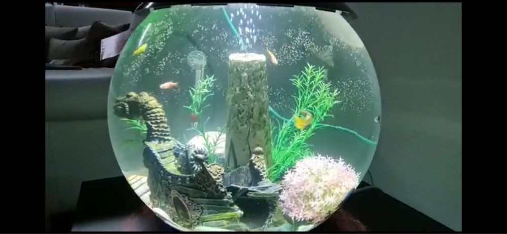 Aquario da marca Biorb