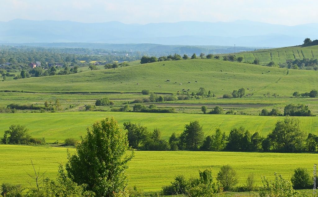 Земельна ділянка Посіч осг 0,56 га,