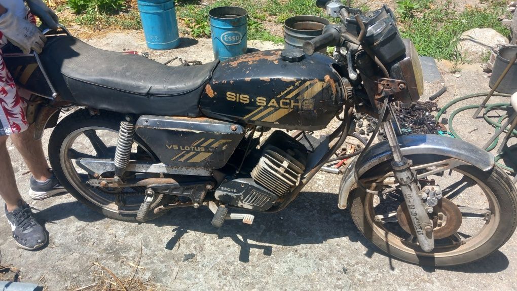 Sachs lotus -ler descrição