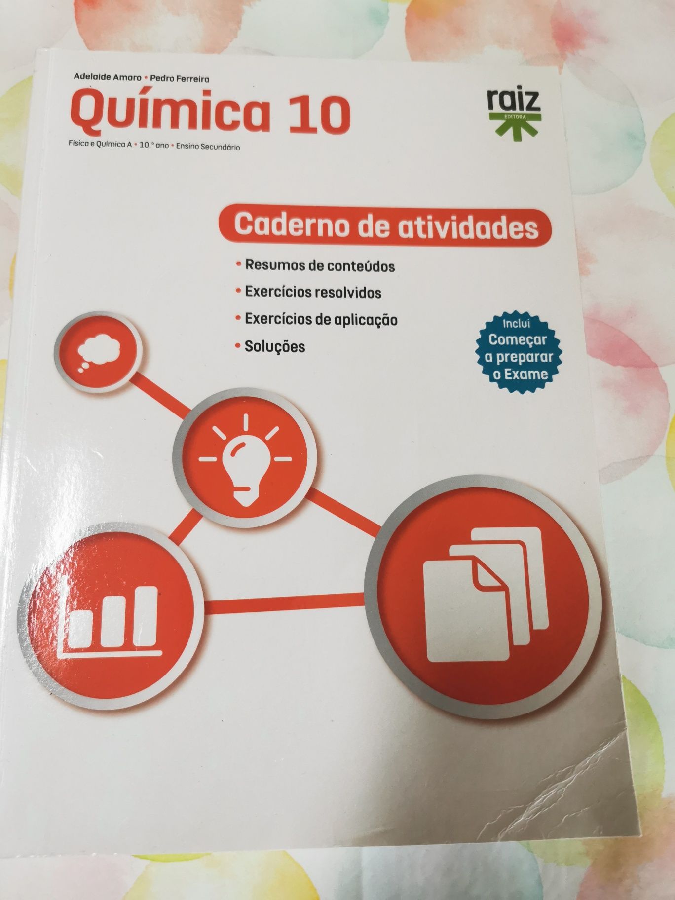 Cadernos de atividades do 10° ano