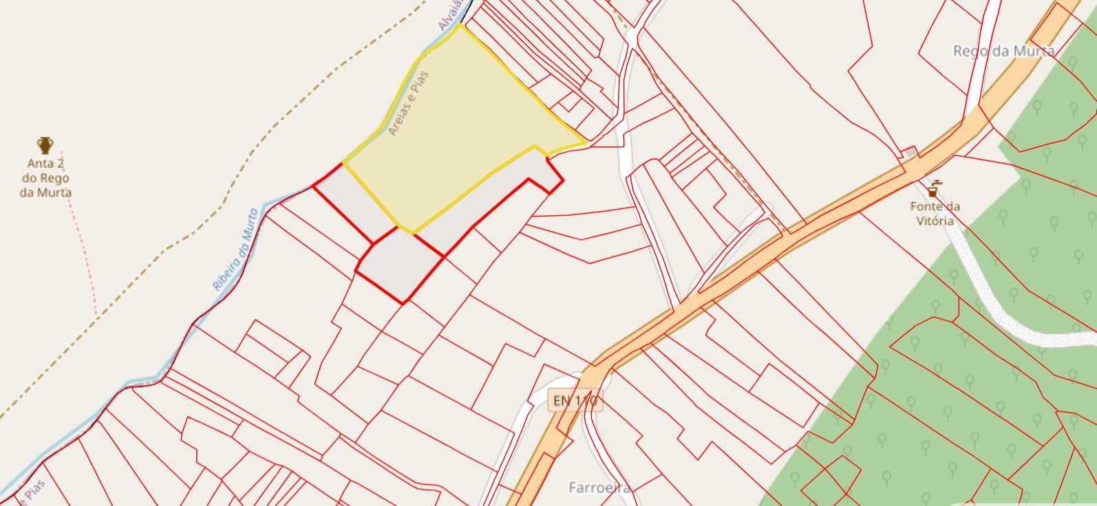 Terreno plano misto 12.880 m2 Rego da Murta, Ferreira do Zêzere
