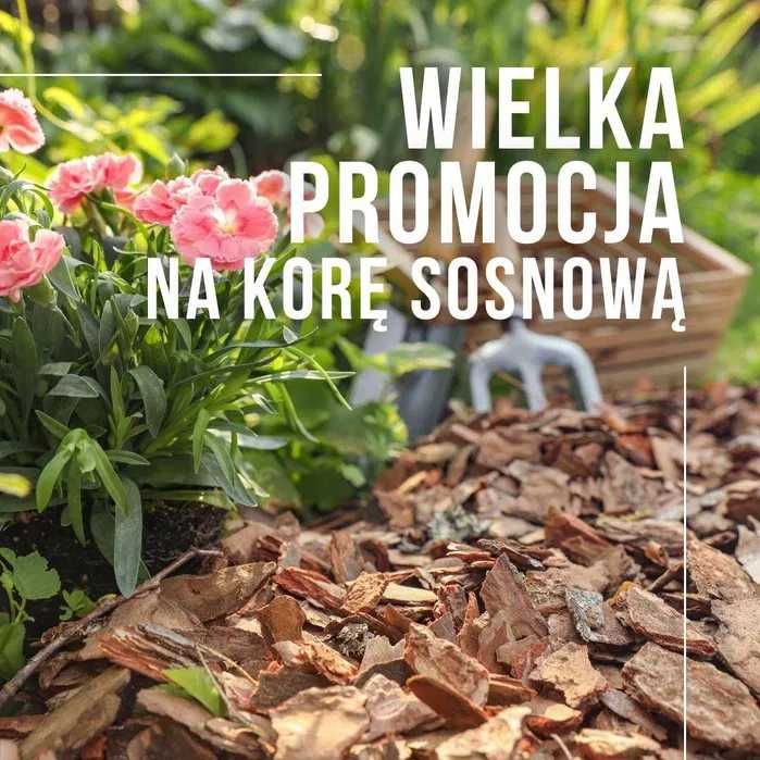 Kora Sosnowa 80L Sortowana