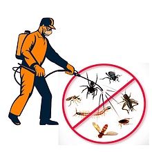 Уничтожение тараканов, клопов ,всех насекомых
