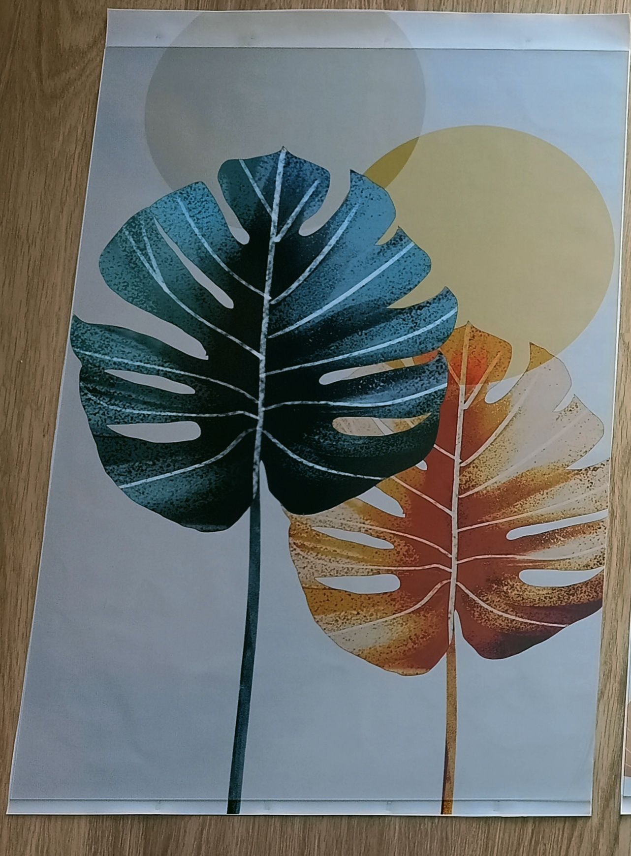 3 Plakaty - "Kolorowe rośliny" (3 szt. x 50 x 70cm)
