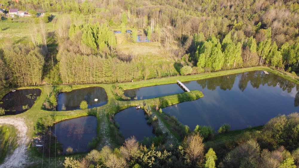 Wynajmę domki wypoczynkowe, całoroczne, gorąca bania, paintball, konie