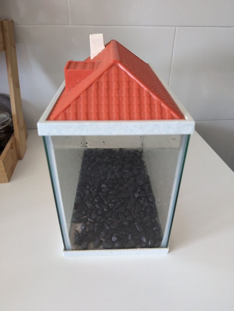 Aquário casa com pedras