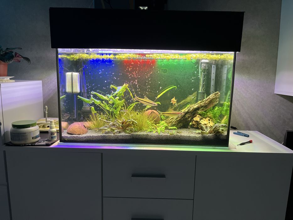 Продам свой аквариум на 80л 
Комплект