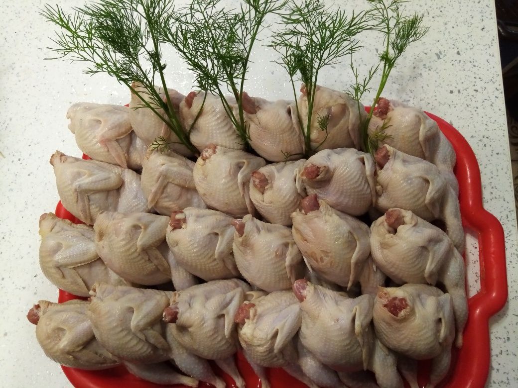 Продам перепелина продук 70грція