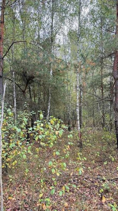 Продаж масиву землі під ЗАБУДОВУ біля Житомирської траси!