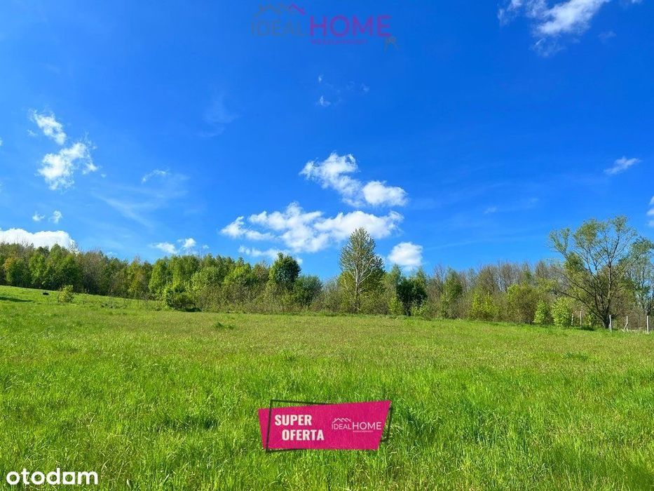 Działka na sprzedaż - Brzeziny 1,12 ha