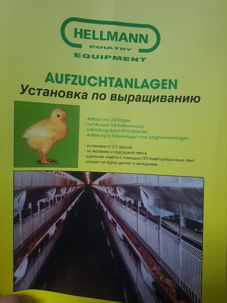 Клеточное оборудование, клетки для бролеров,птичник