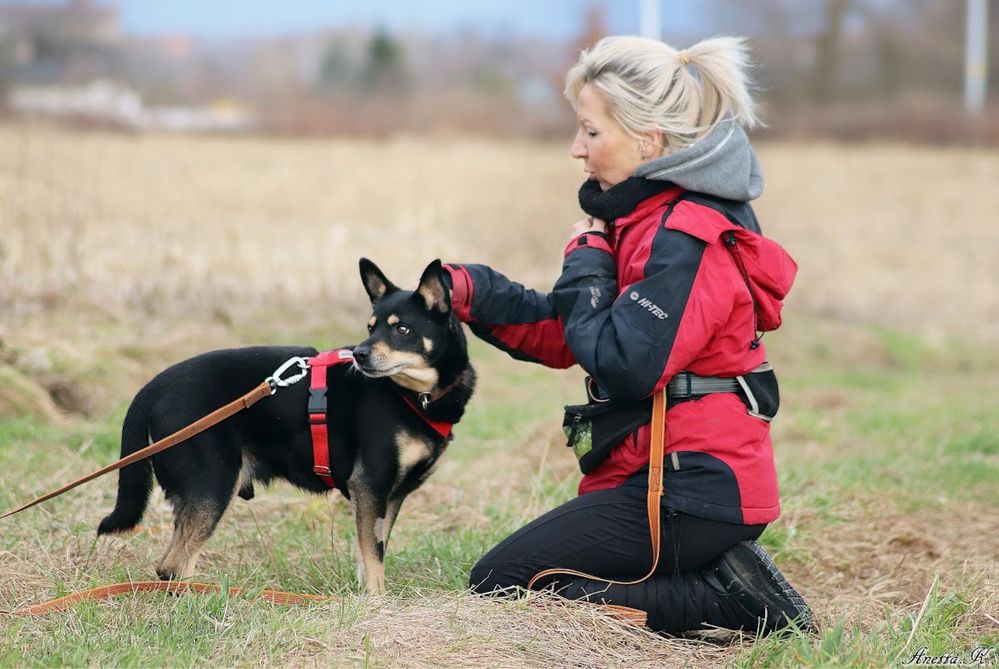 VIGOR | porzucony pod sklepem w największym mrozie. Czarny kundelek.