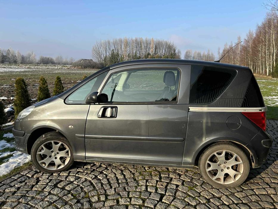 Peugeot 1007 - dobre, tanie i bardzo ekonomiczne autko.