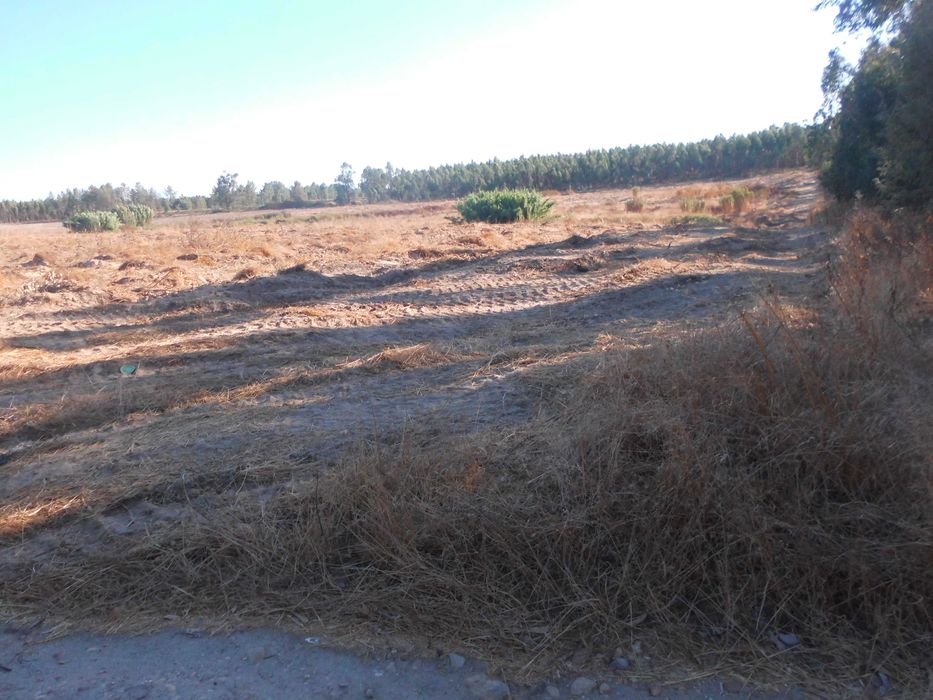 Vendo terreno em Marinhais