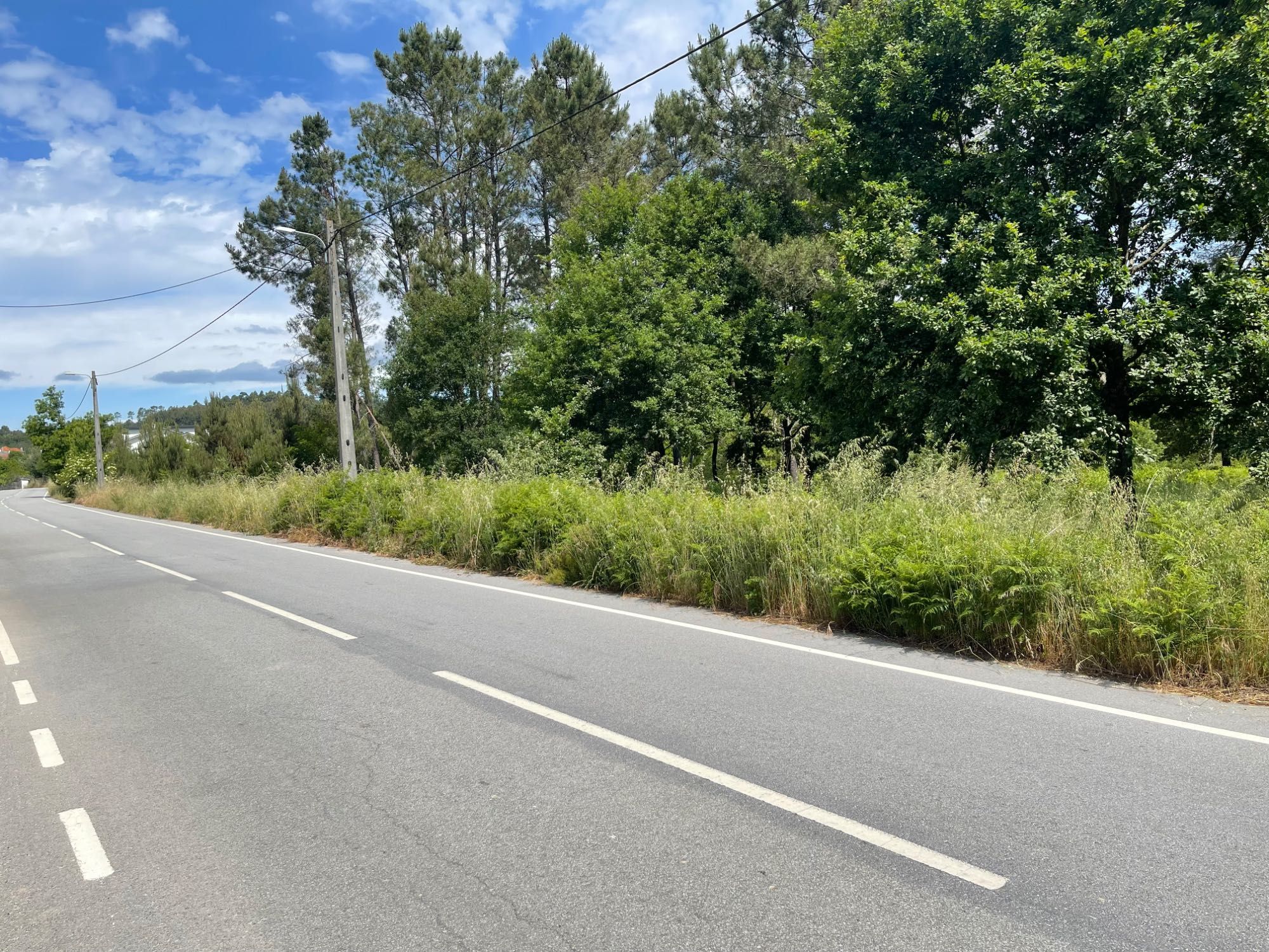 Terreno para construção em Lages 7 mil m2
