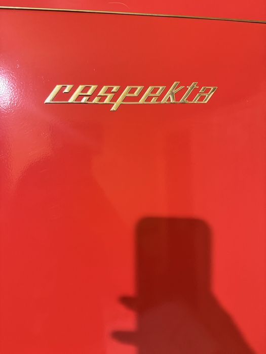 Lodówka Retro Cespekta