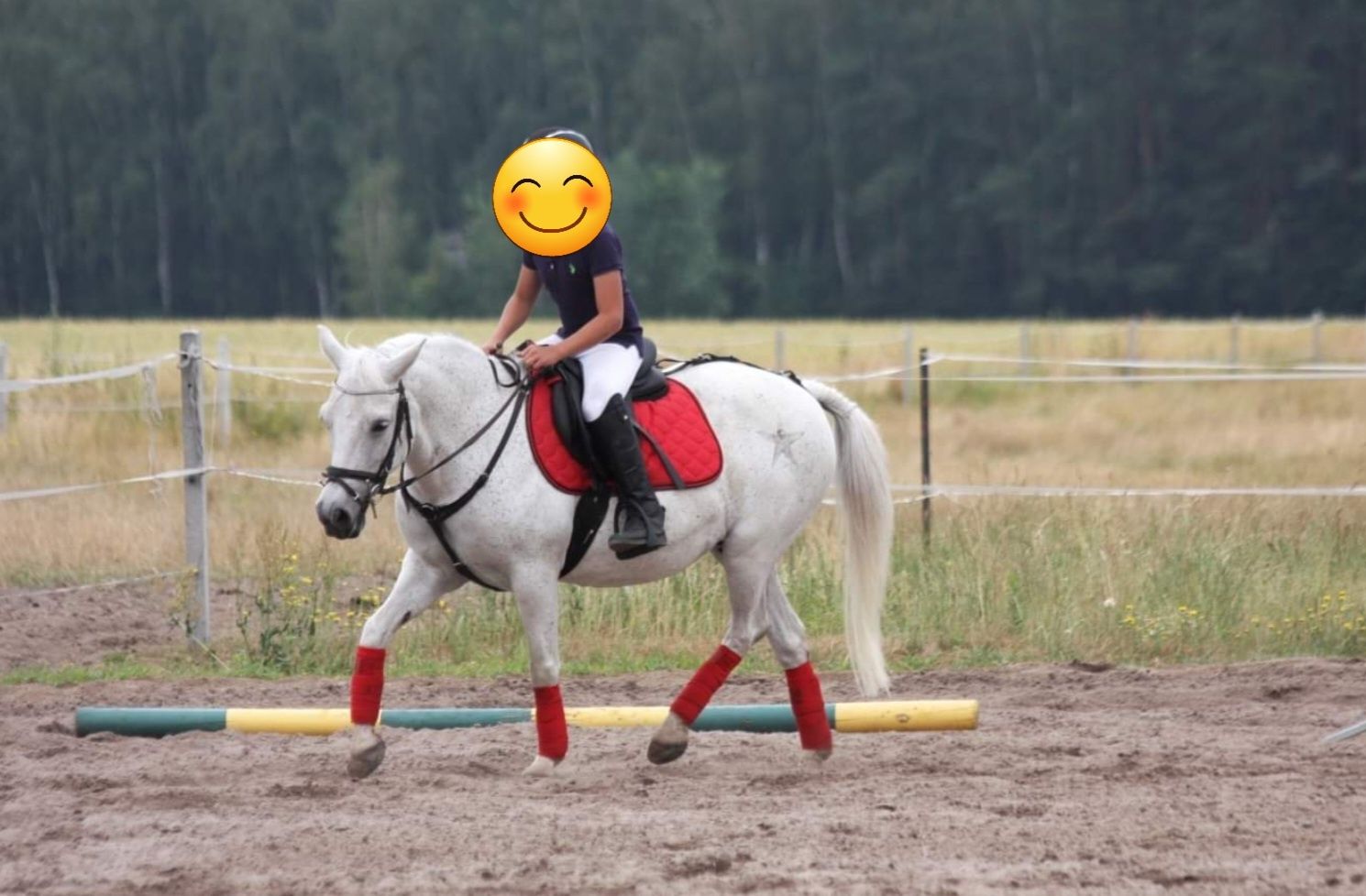 KLACZ KUC do rekreacji 11 LAT, 130CM linki do filmów w opisie