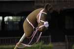 Hobby horse gniady M
