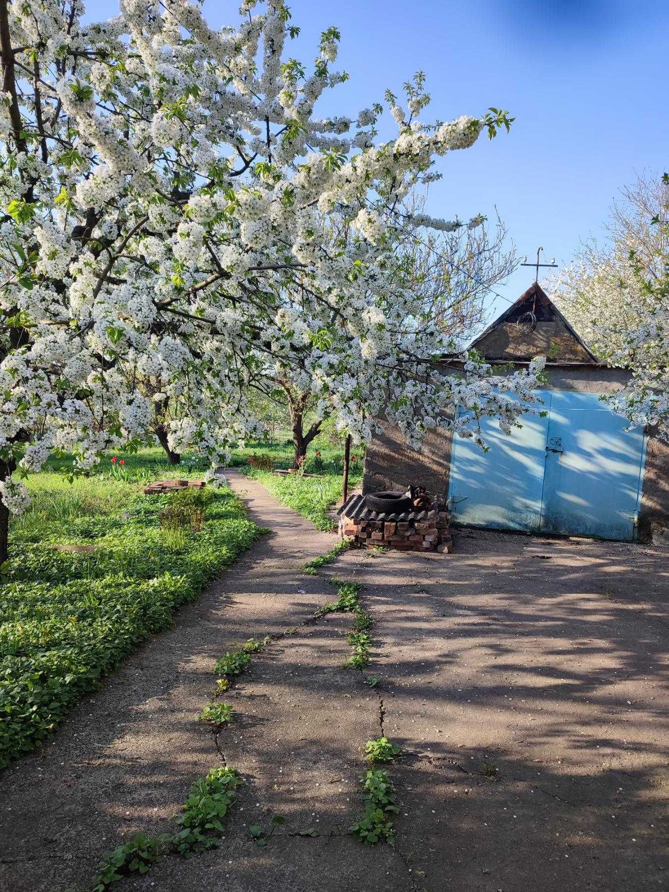 Продам дачу Синельниківський район, Дніпр.обл.с.Георгіївка (Сухеньке)