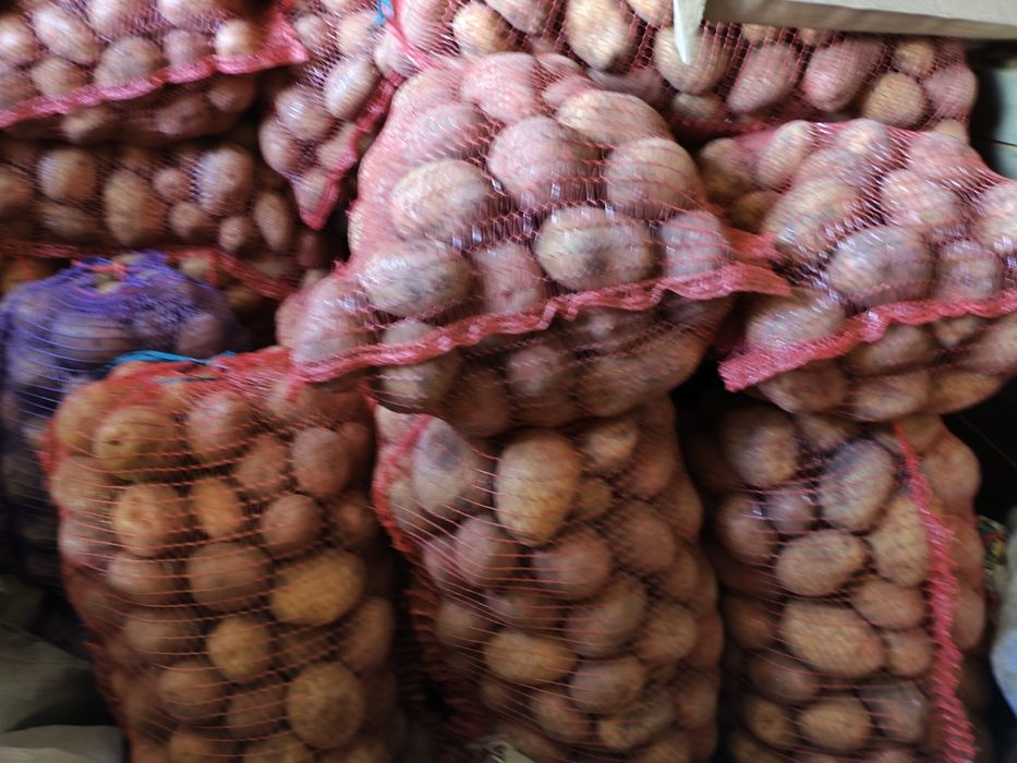 Продам картоплю без хімії
