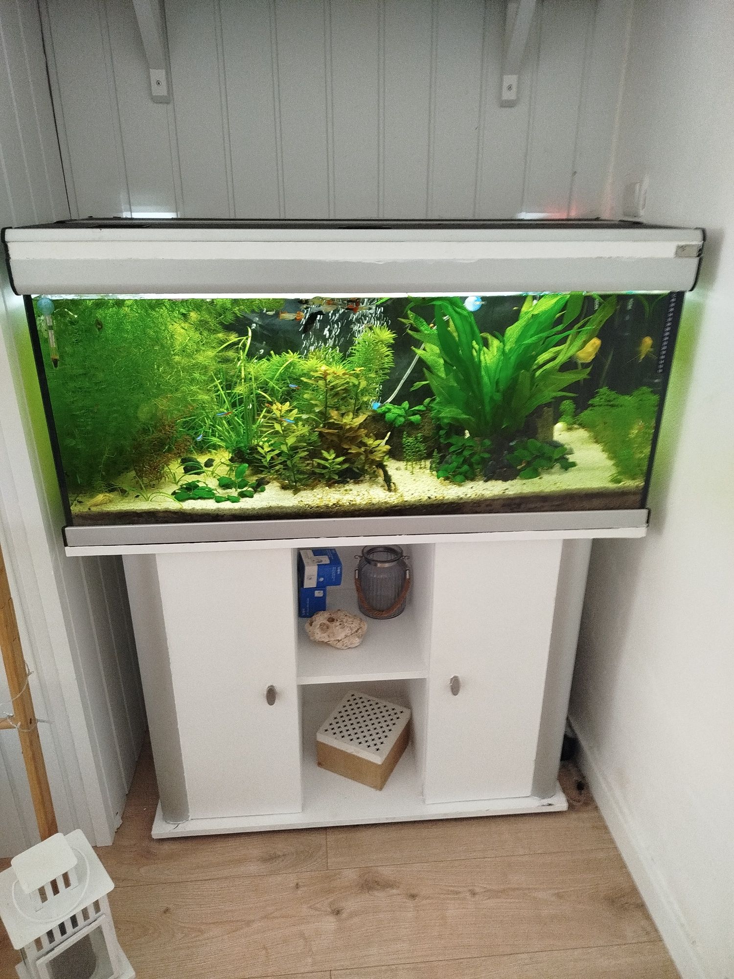Aquário aquatlantis 200L