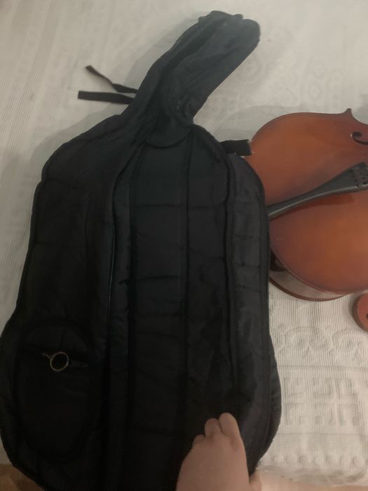 violoncelo estudante