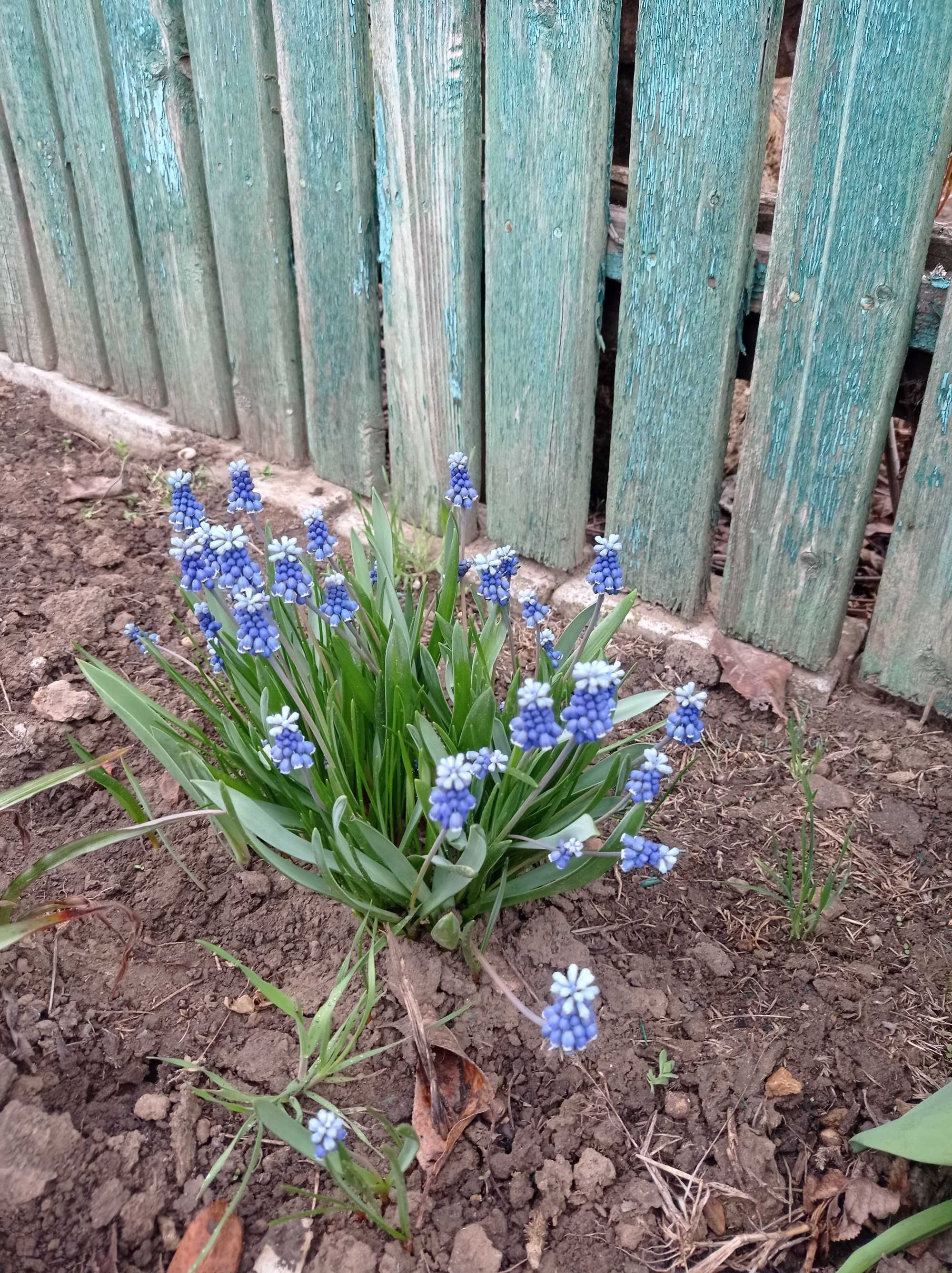 Продаю дом в Граденицах