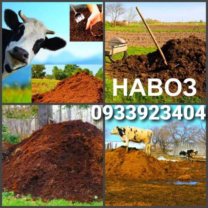 Чернозем- плодородний, Перегной-Сипець- Компост навалом либо в мешках