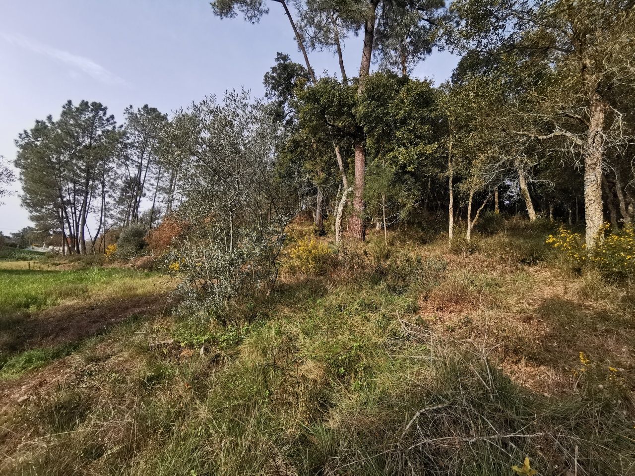 Terreno para construção