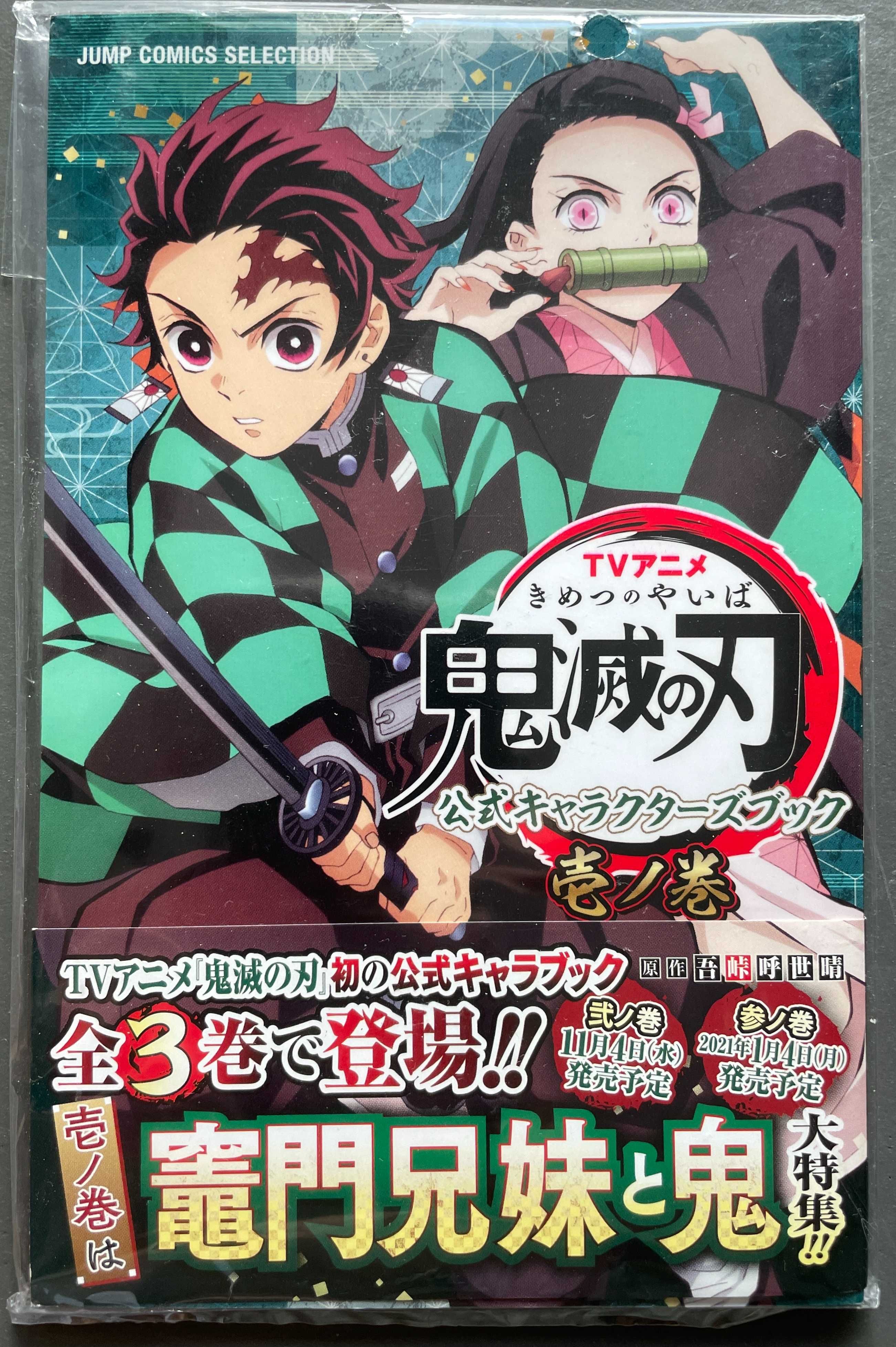 manga anime book 1 Demon Slayer po japońsku