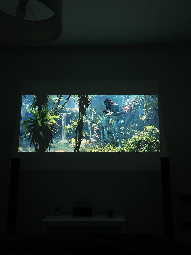 Projector LG PA1000