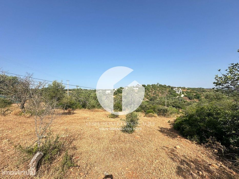 Terreno Rústico - Pechão