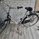 Rower Holenderski Gazella Impala 49 cm