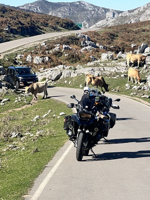 BMW GS triple Black Imaculada
