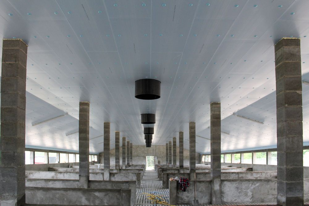 Sufit Strop do Tuczarni Błękitne Panele Izolacyjne Styrodur XPS AGRO