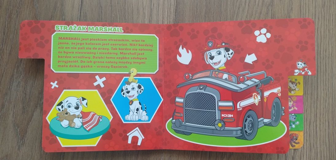 Psi patrol przyjaciele z zatoki przygód książka dla dzieci