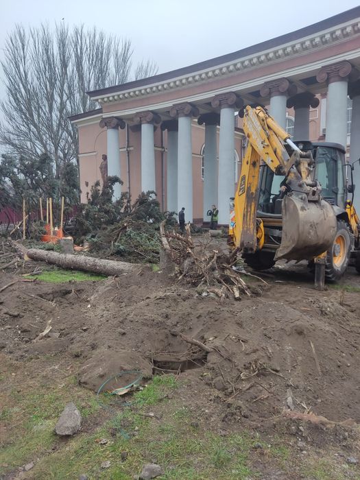 Спил дерев будь якої складності | Розчистка ділянок, вивіз сміття