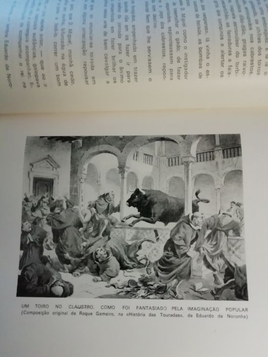 D. Pedro e D. Miguel, do Brasil ao Ribatejo, de Virgílio Arruda