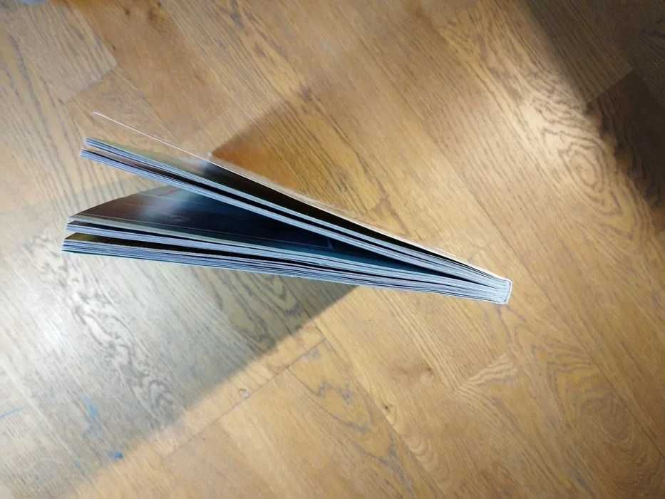 książka dla dzieci 300 faktów Zwierzęta Przewodnik po świecie zwierząt