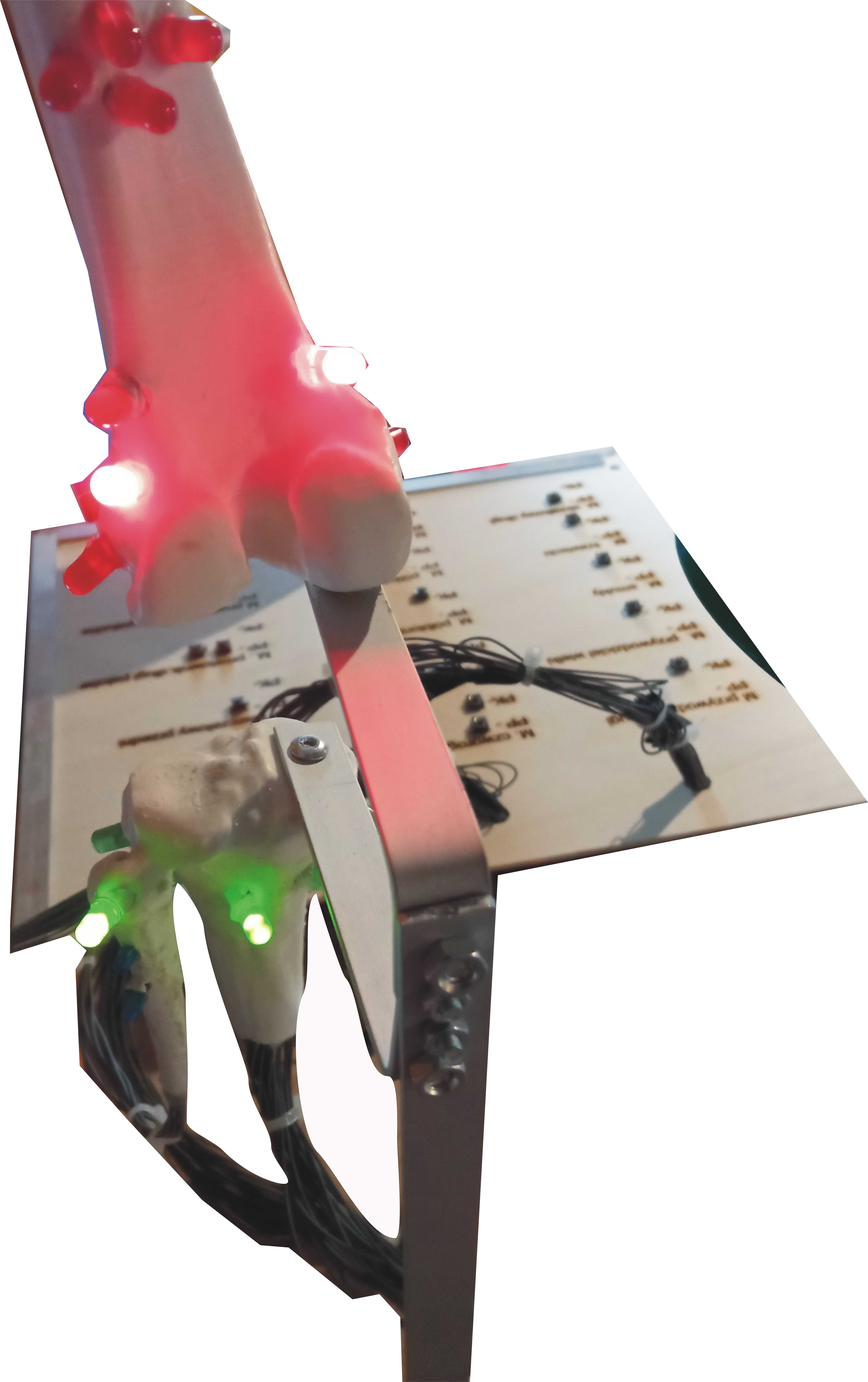 Model stawu kolanowego elektroniczny z przyczepami