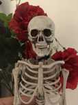 Esqueleto Halloween