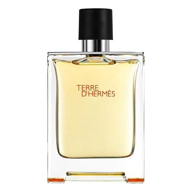 Hermes Terre D Hermes Woda Toaletowa 100 ml