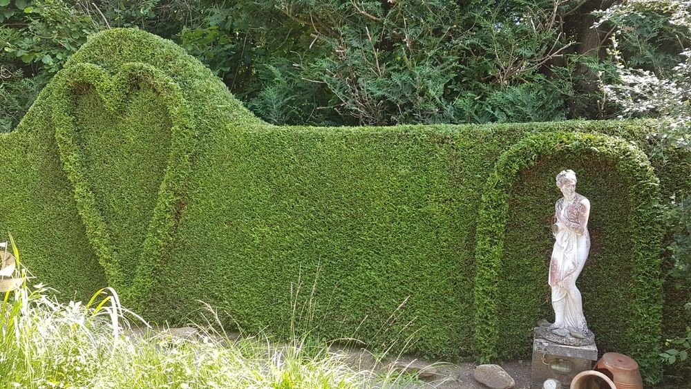 Wycinka trudnych drzew Krotkie terminy