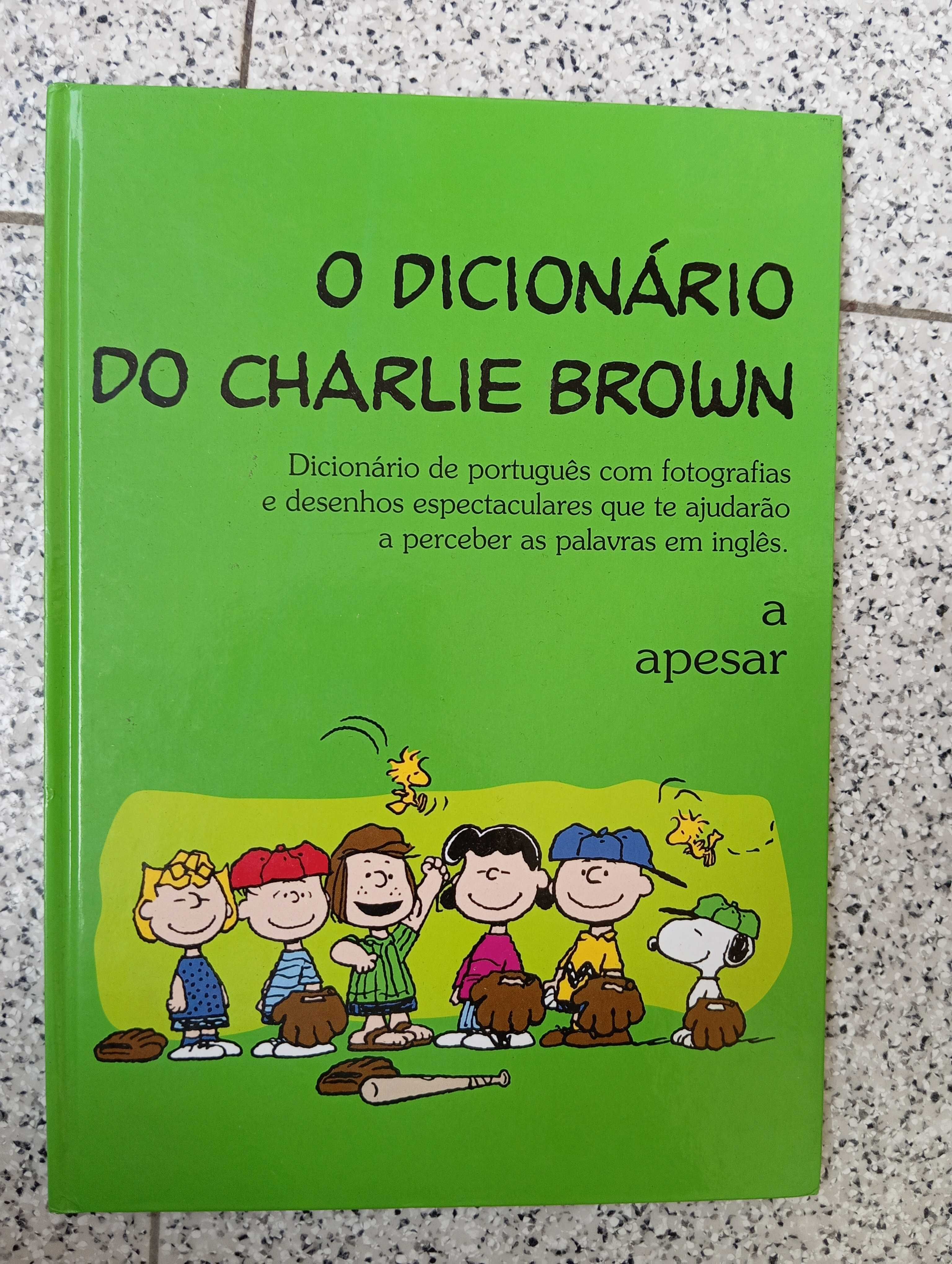 Livro O Dicionário do Charlie Brown